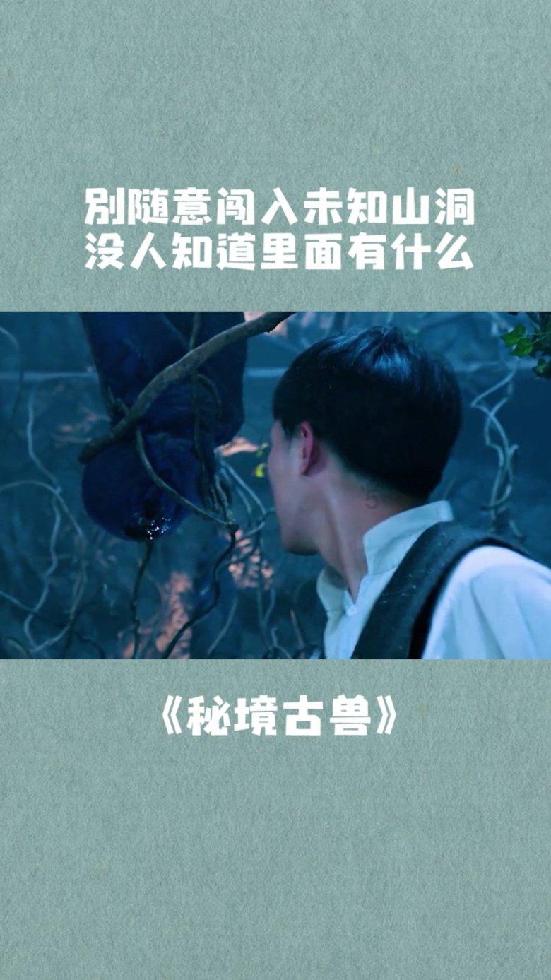 营救小猫头鹰